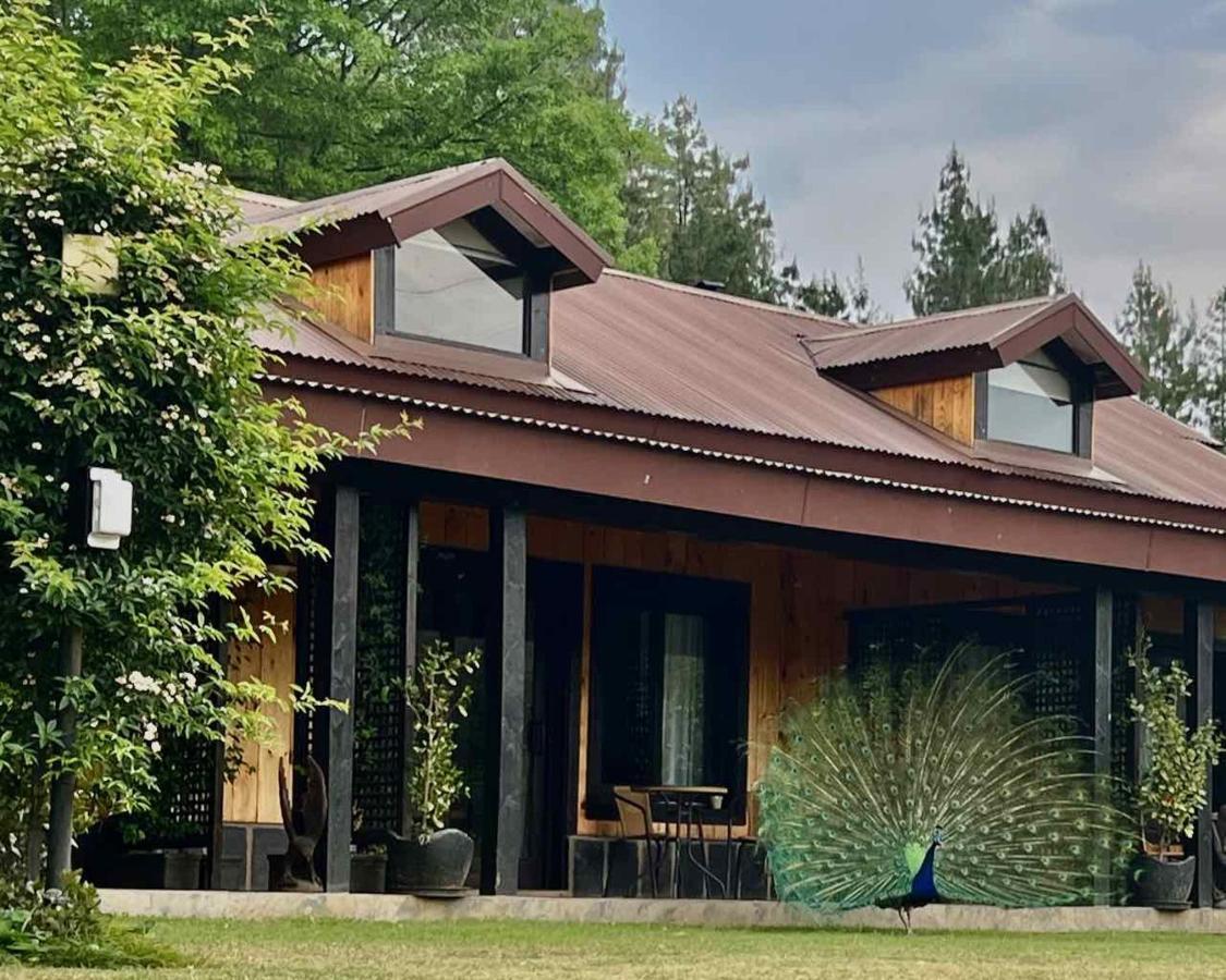 Malachite Manor Underberg Exterior photo